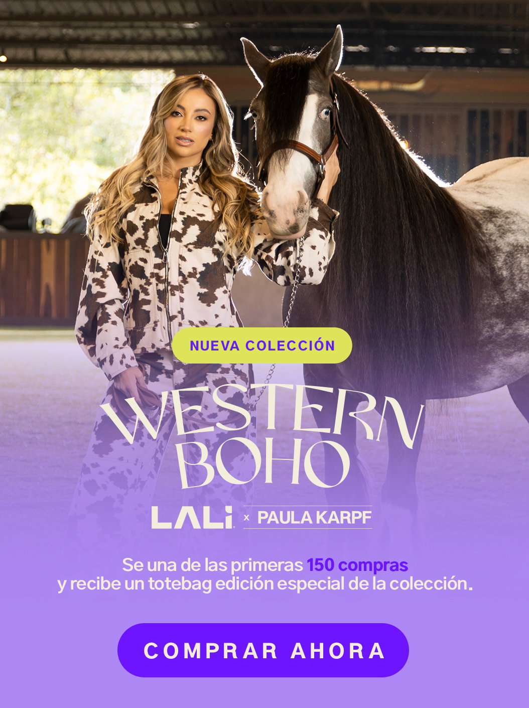 Banner LALÍ