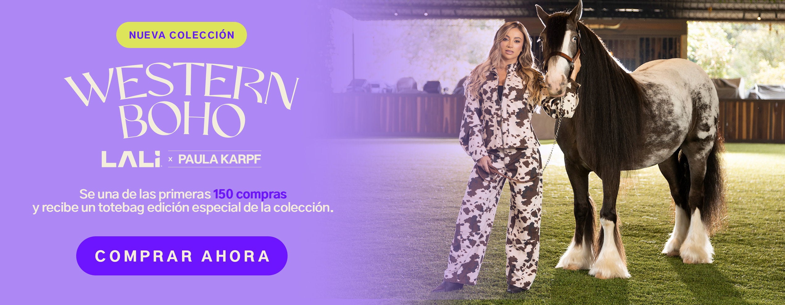 Banner LALÍ